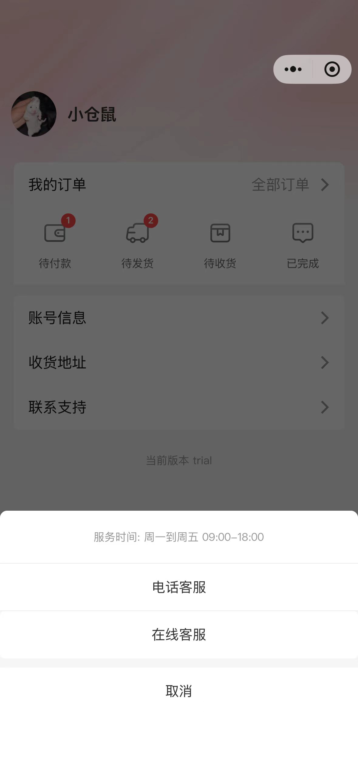 alt text