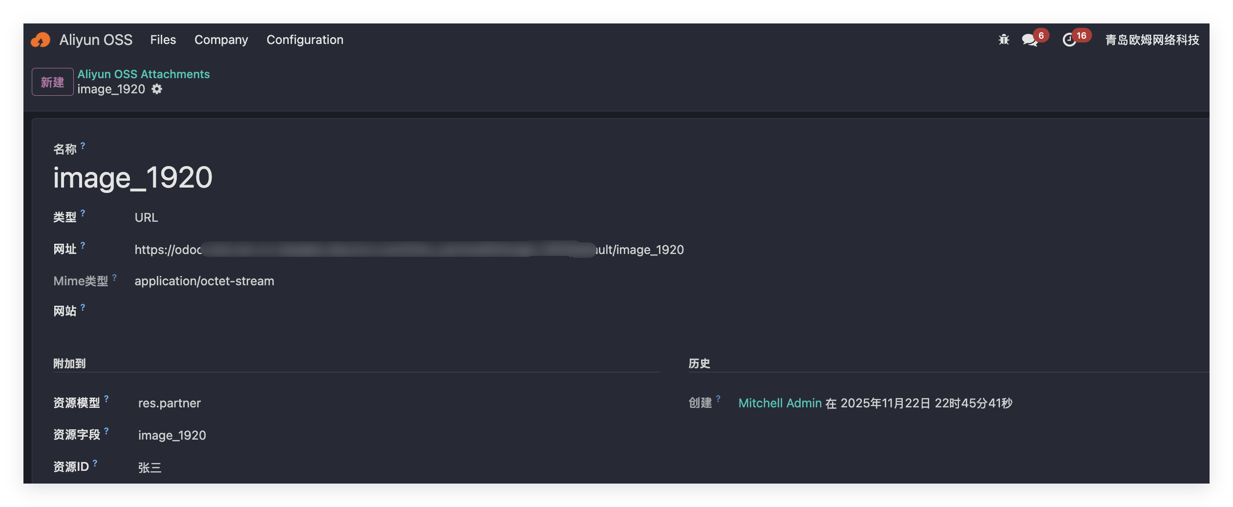 Retrieve OSS file