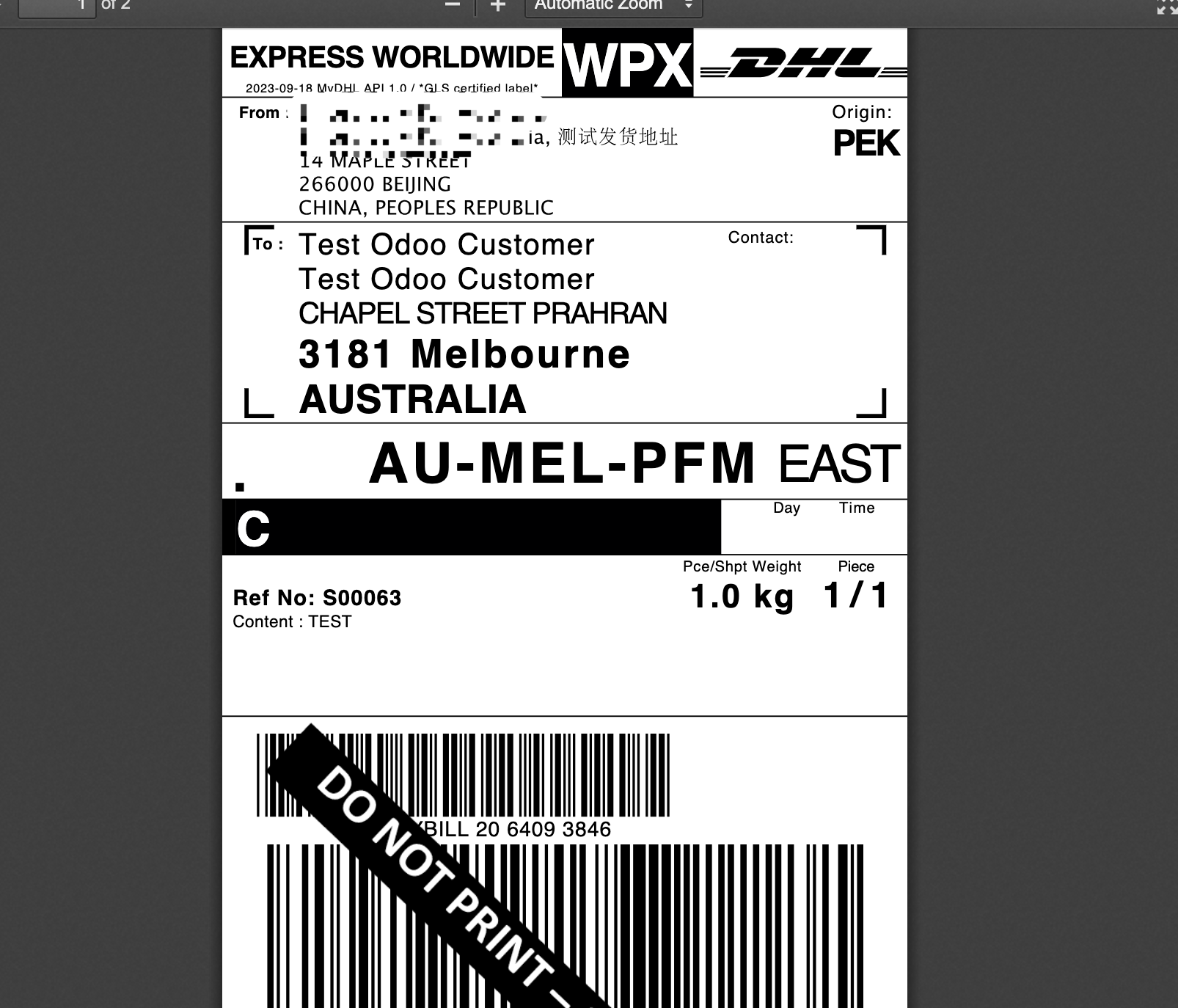 DHL electronic label 2
