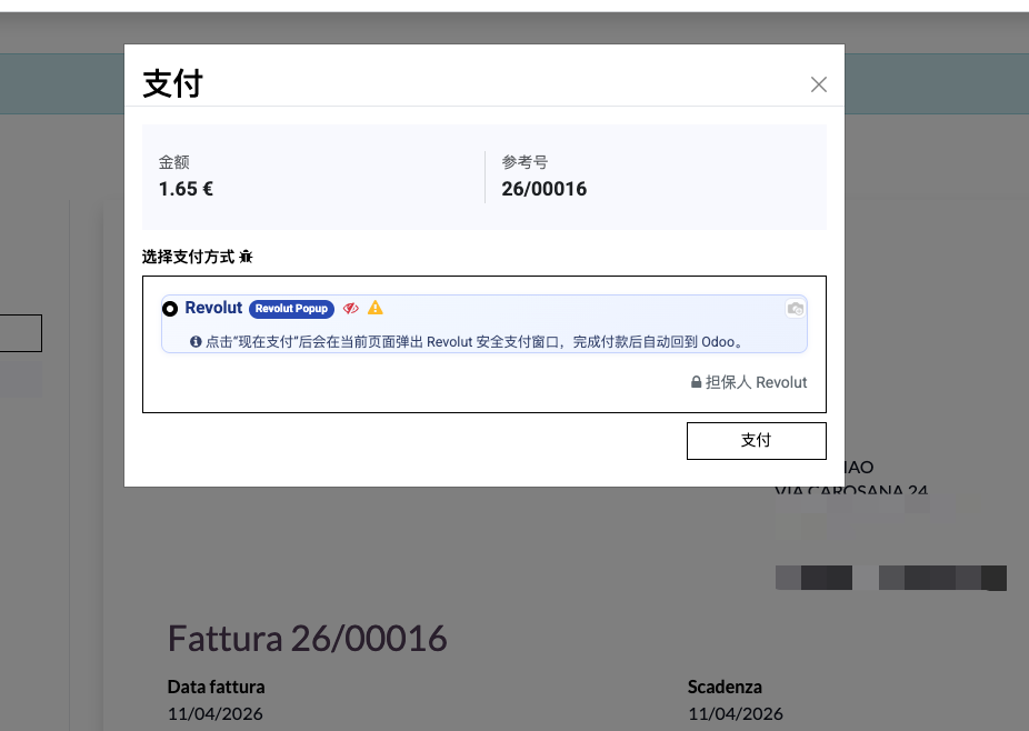 Invoice Revolut payment form